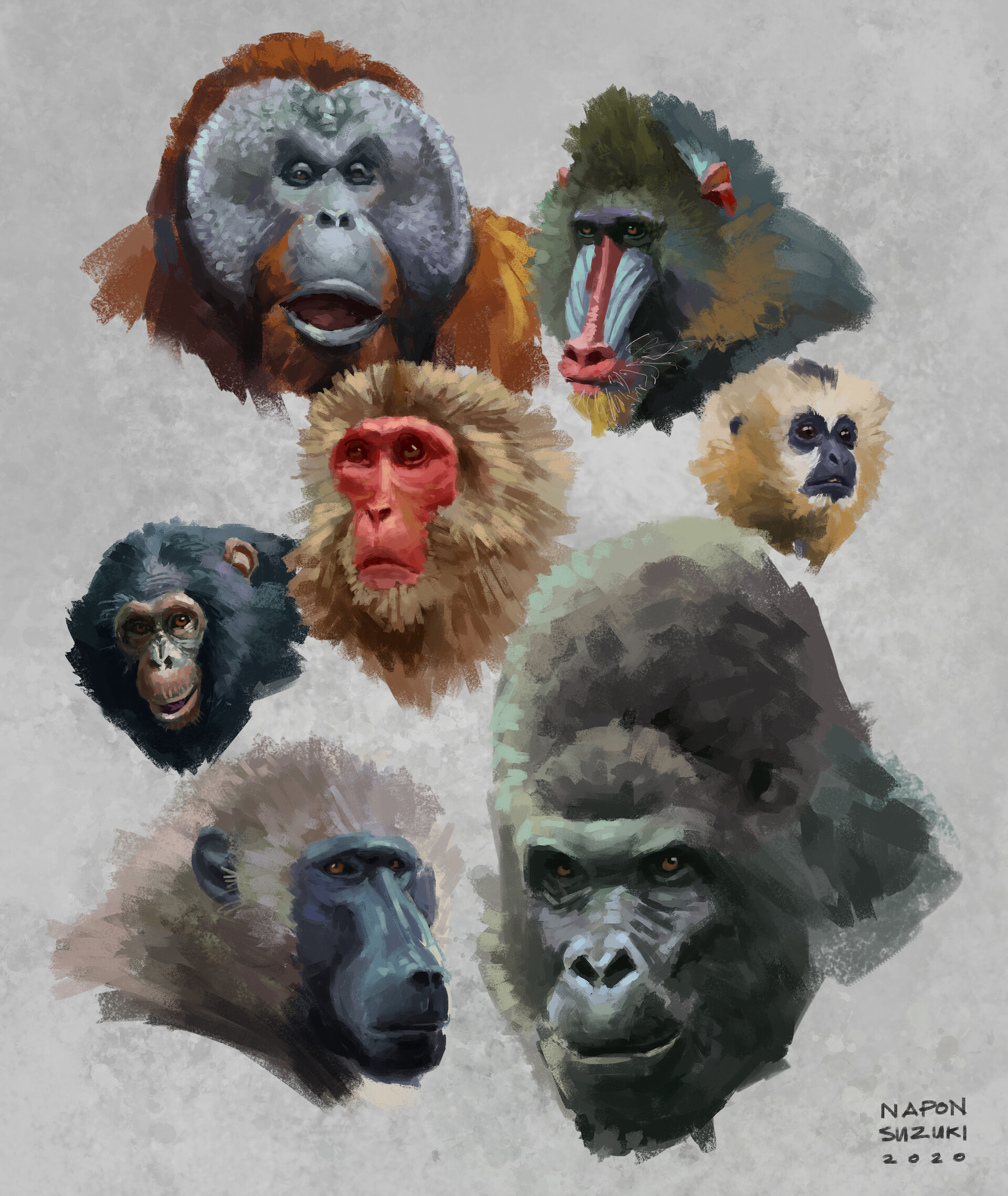 ArtStation primates study (head)