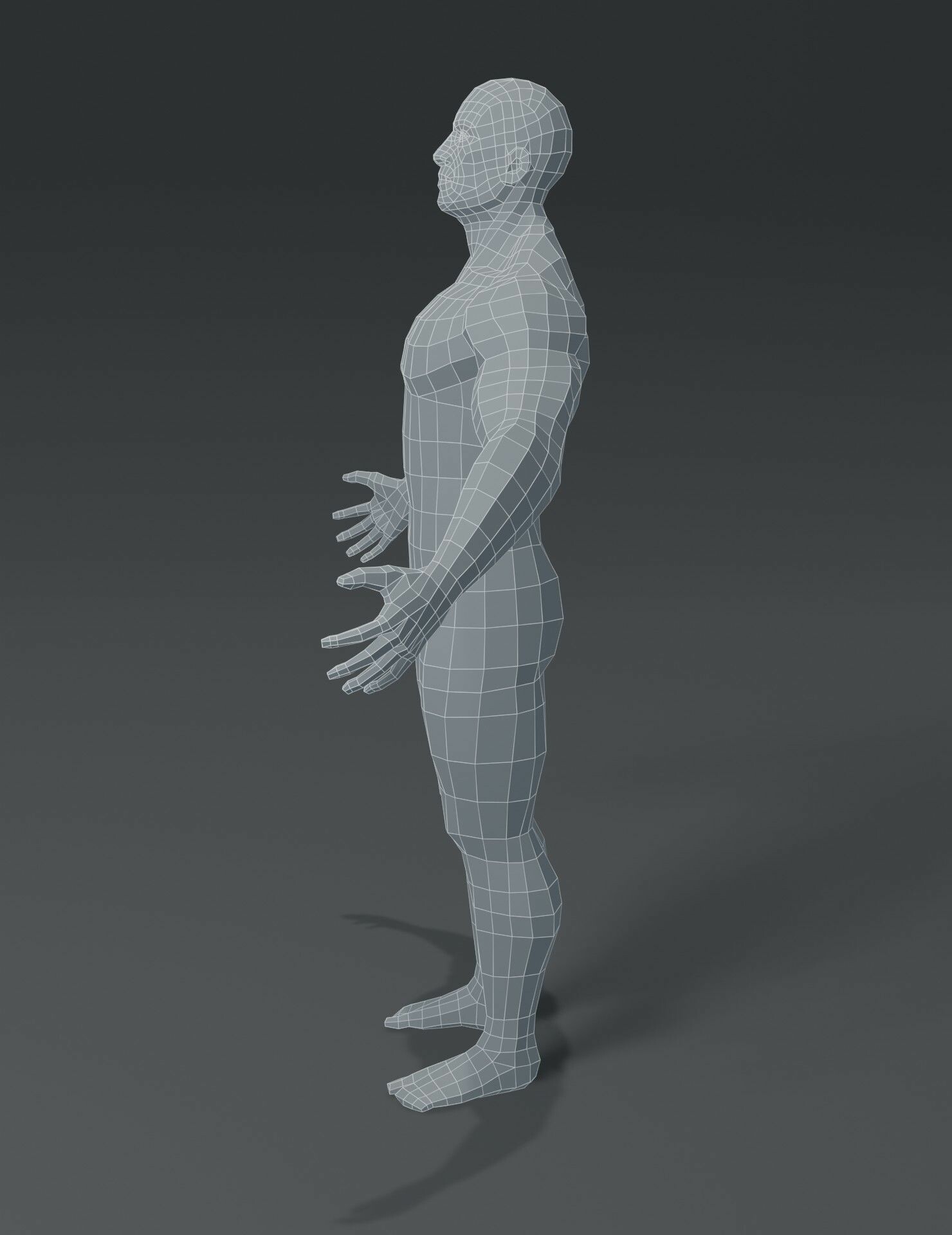 3d Disco Muscular Human Body Base Mesh 3d Model Pack Check out our superhero body selection for the very best in unique or custom, handmade pieces from our personalized advertising. muscular human body base mesh 3d model pack