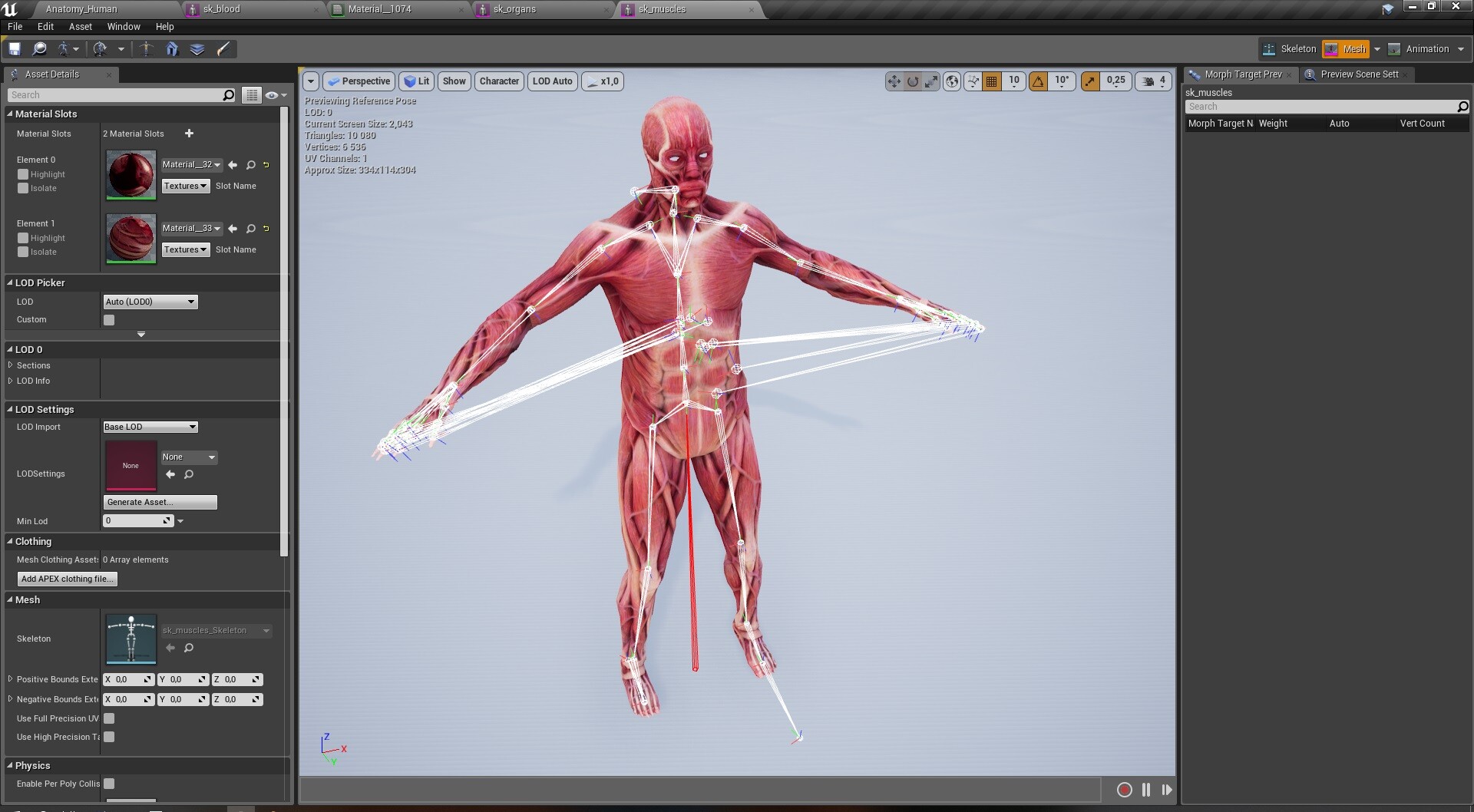 Artstation Rigged And Animated Human Anatomy On Ue4 Chase H