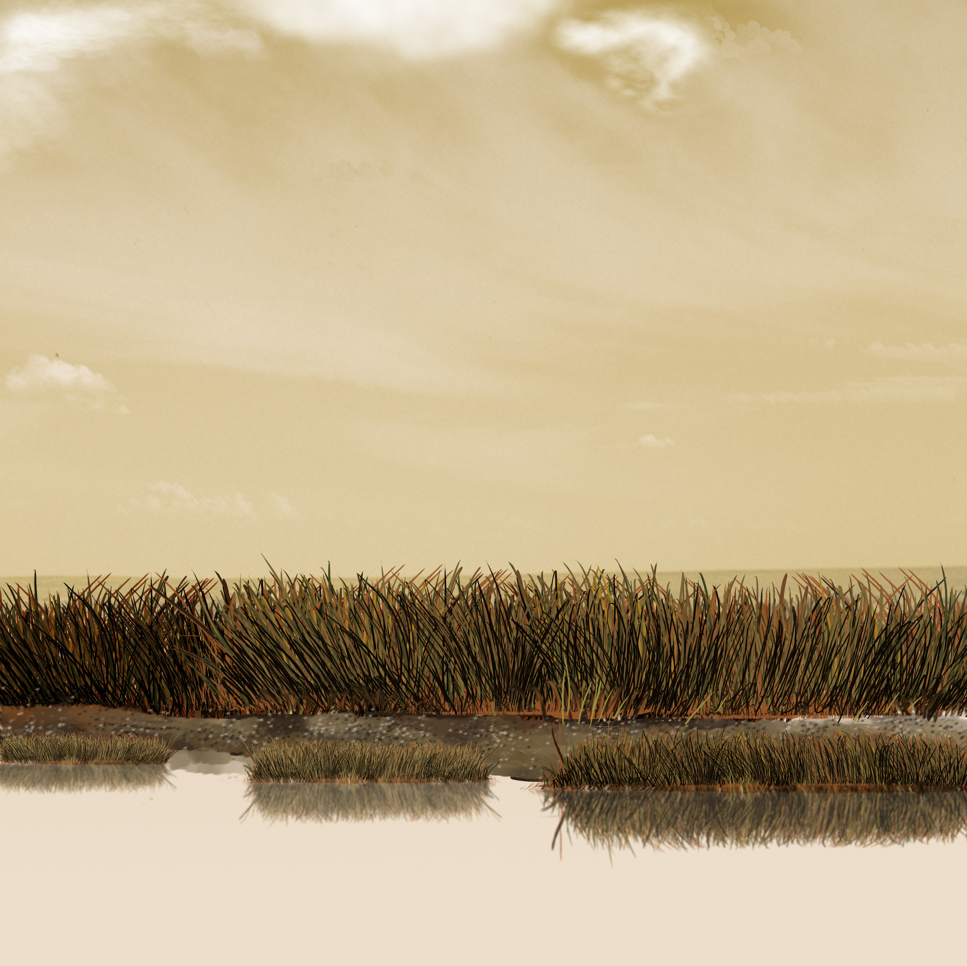 Day Marsh