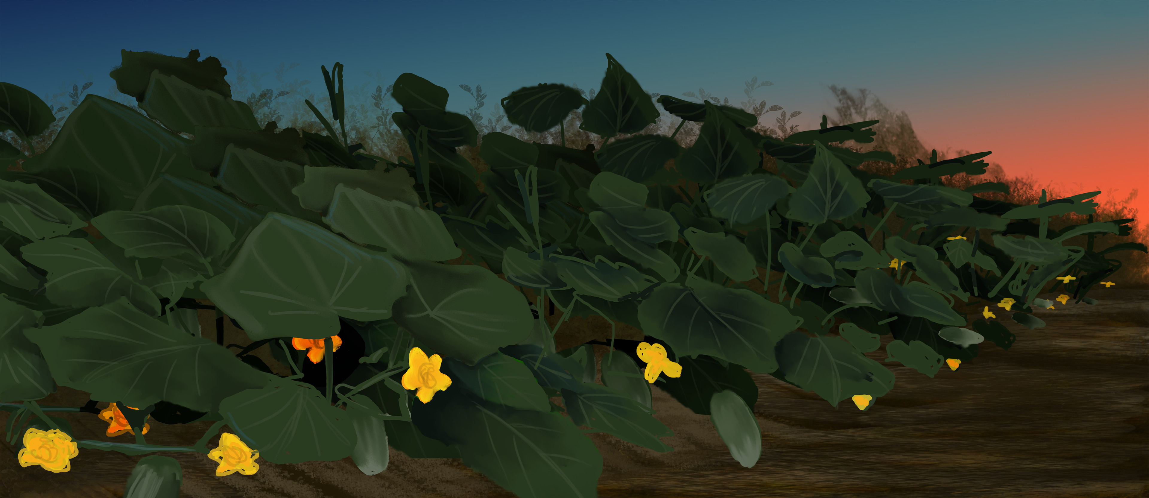 cukes