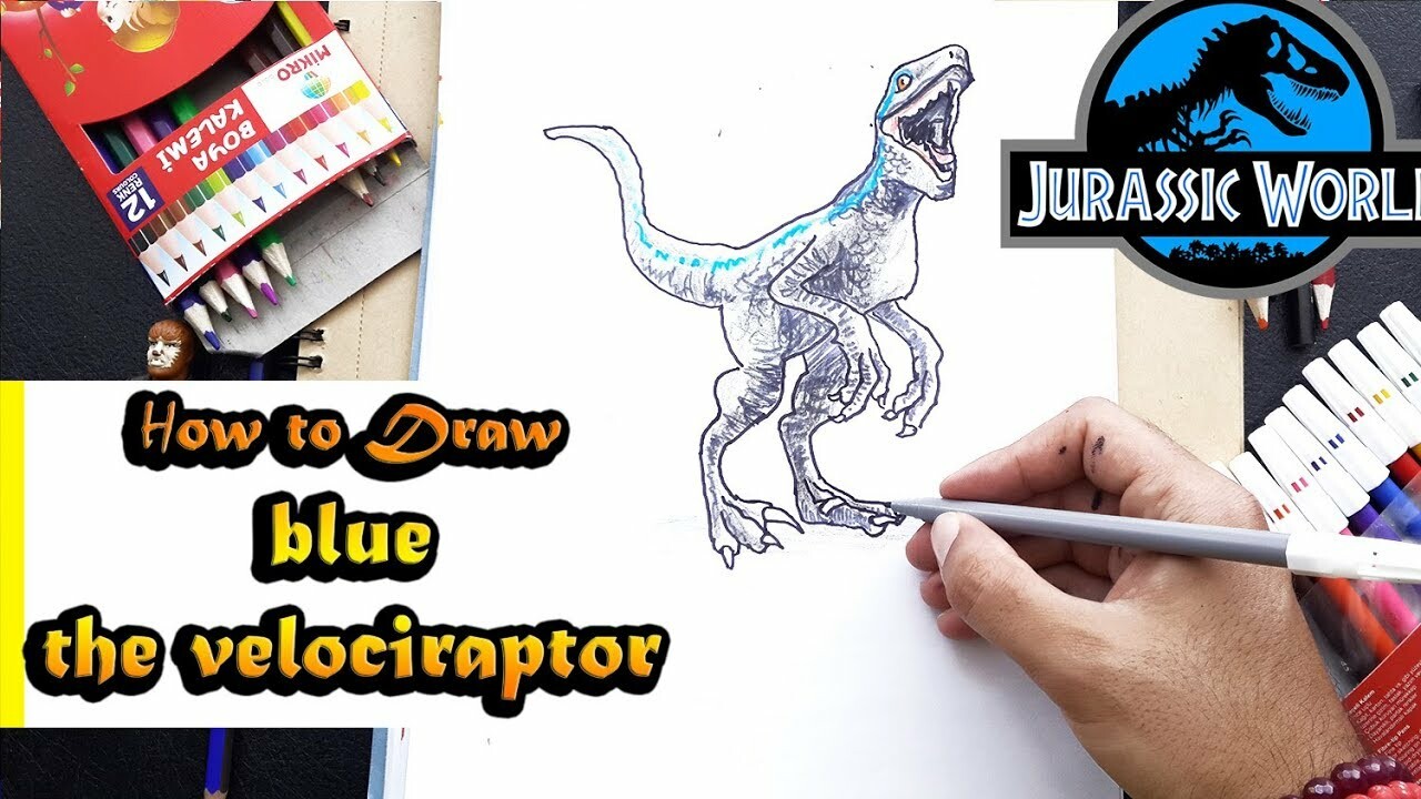 Artstation How To Draw Blue The Velociraptor From Jurassic World Ucu Ucuna