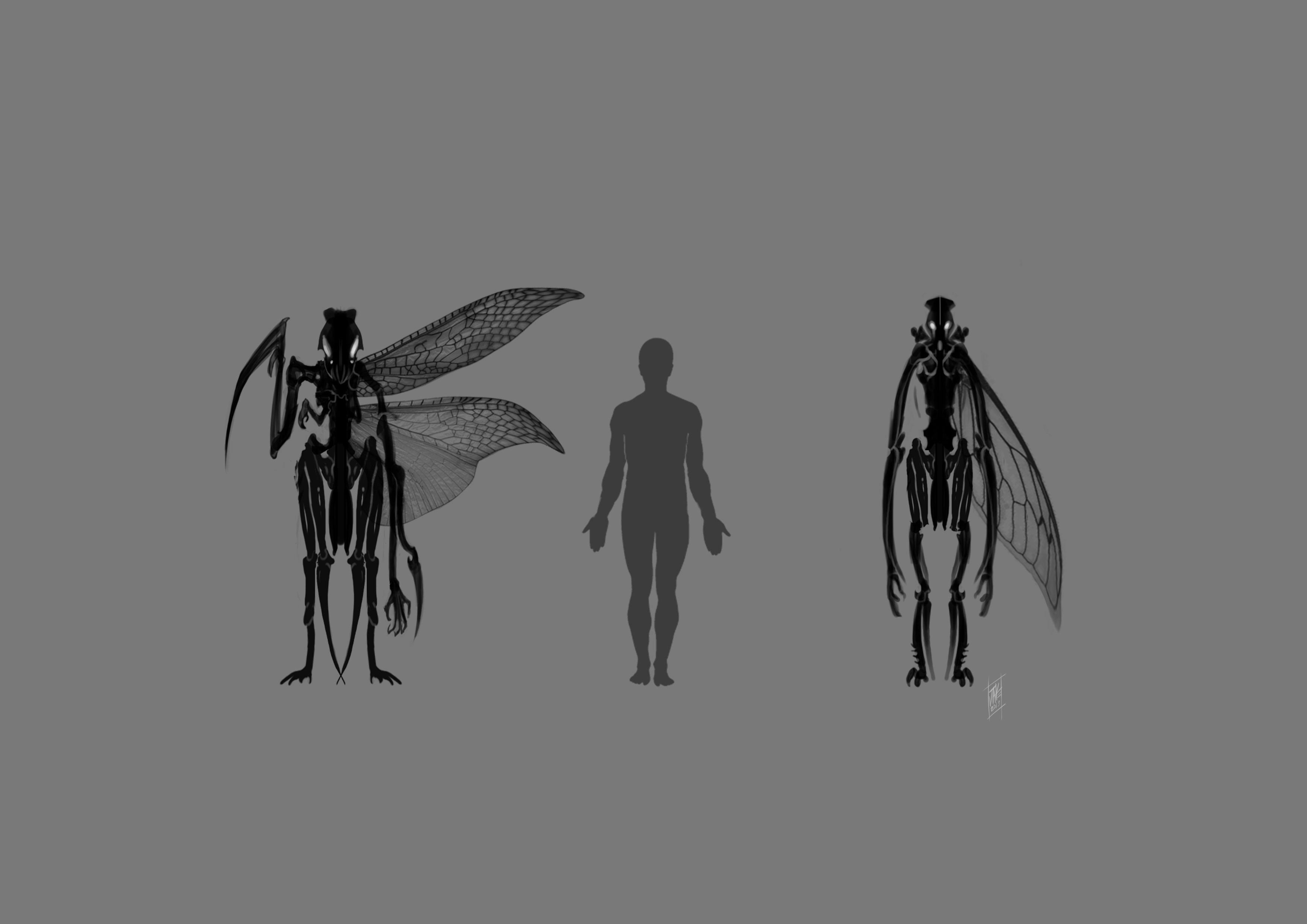 Silhouette proportion sketches.