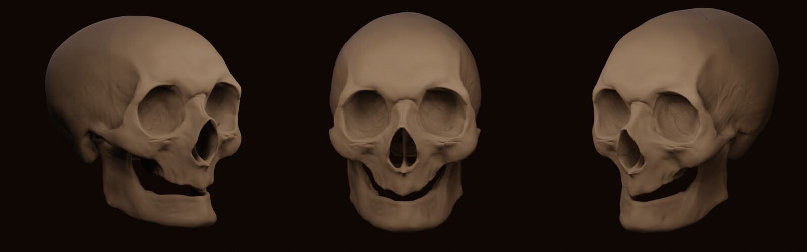 3d skull 