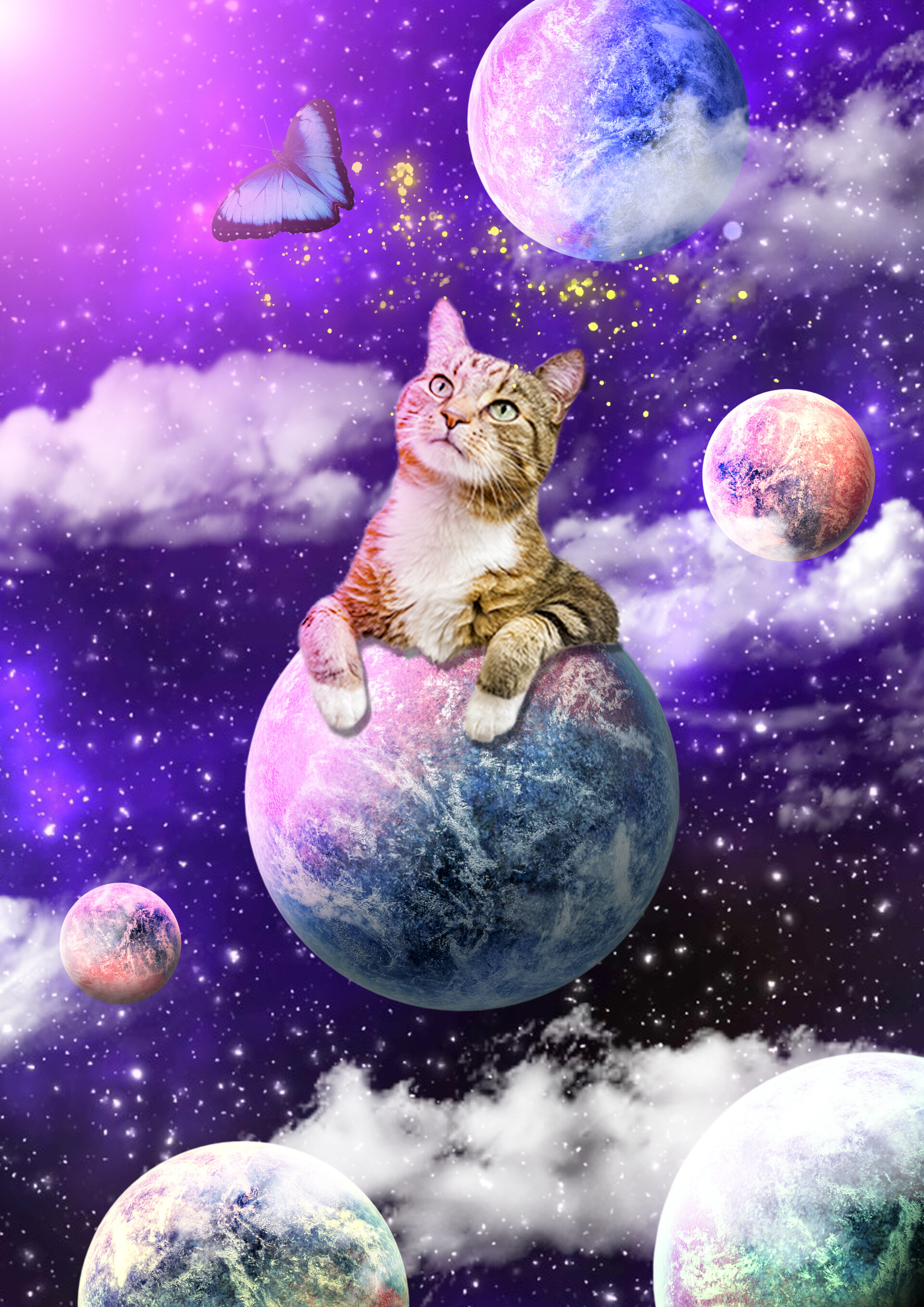 Cats In Space With Food Calendar - Celka Madelyn