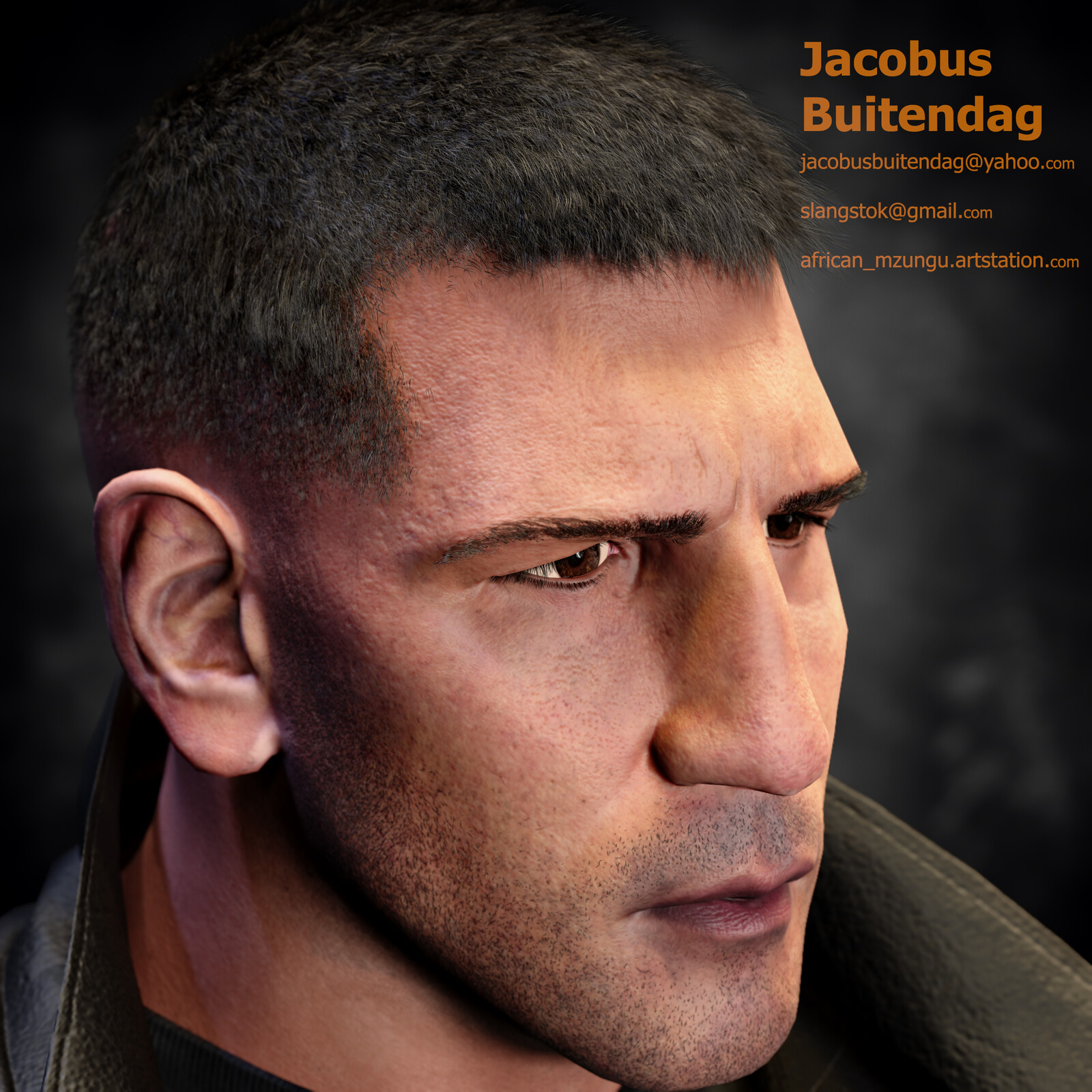 Side view of the face (Low res render)