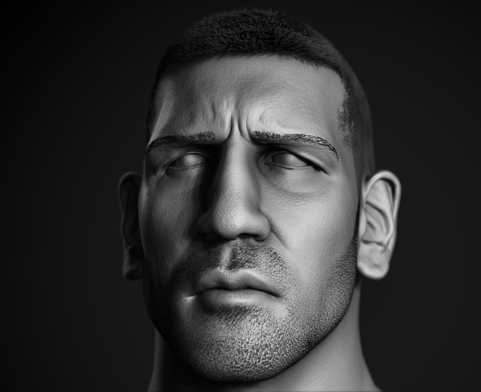 High res sculpt of the face