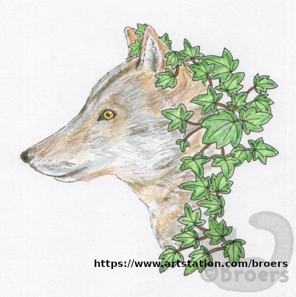 italian wolf with english ivy leaves s