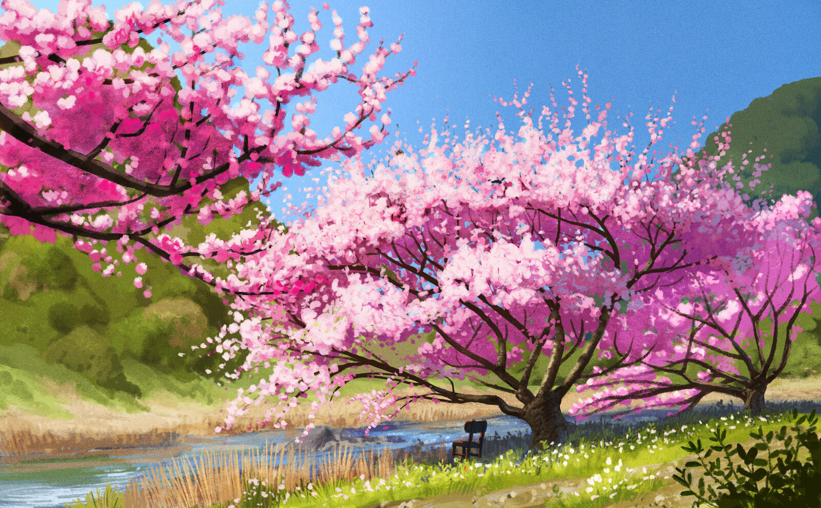 Sakura