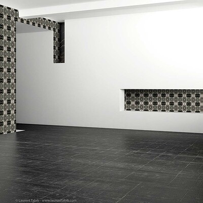 Laurent tabib 29v1170 insitu 2k