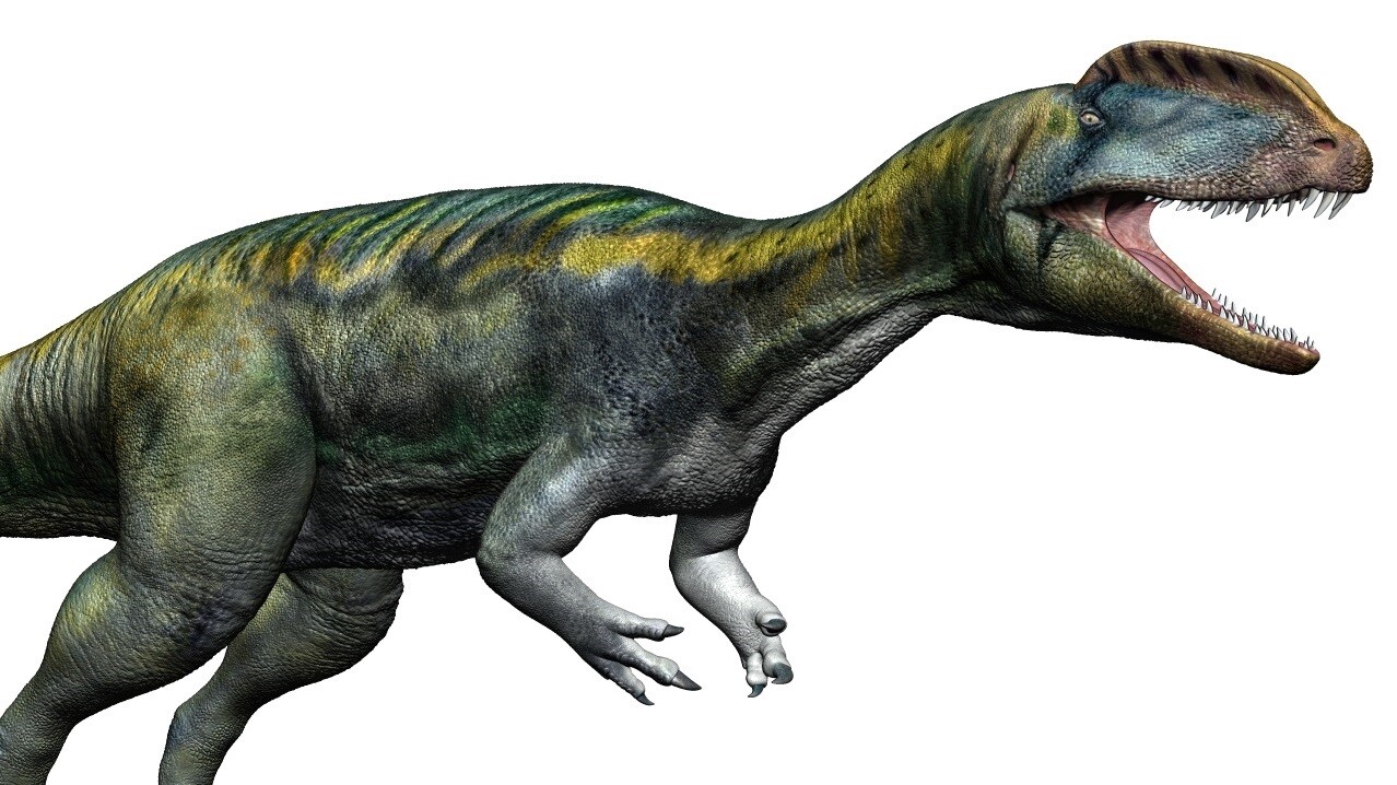 Sinosaurus