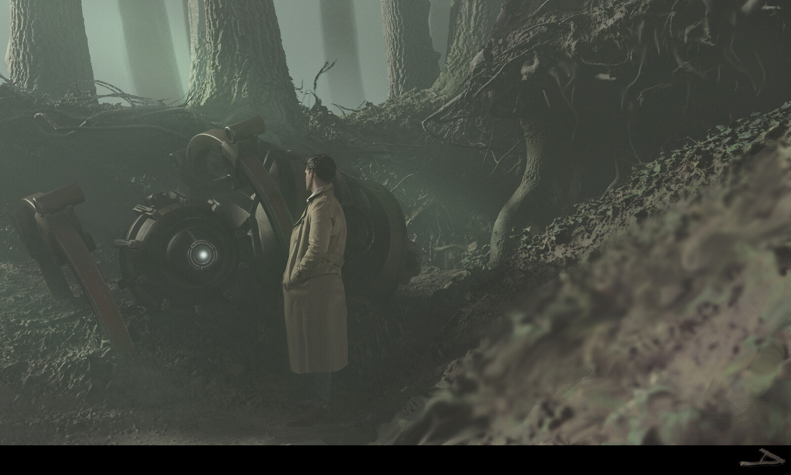 Strange find in the woods