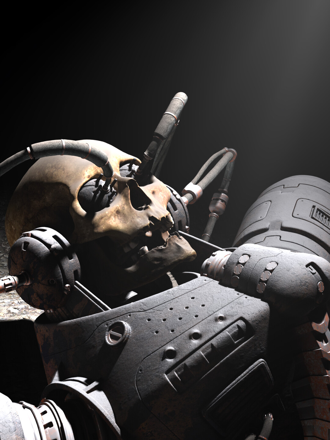Found in a cave on a small body of the Tucana M system, the artifact is believed to be a cyborg soldier involved during the final Zone War. Though, it is worth mentionning that the only organic part of this type of unit is its original human skull.