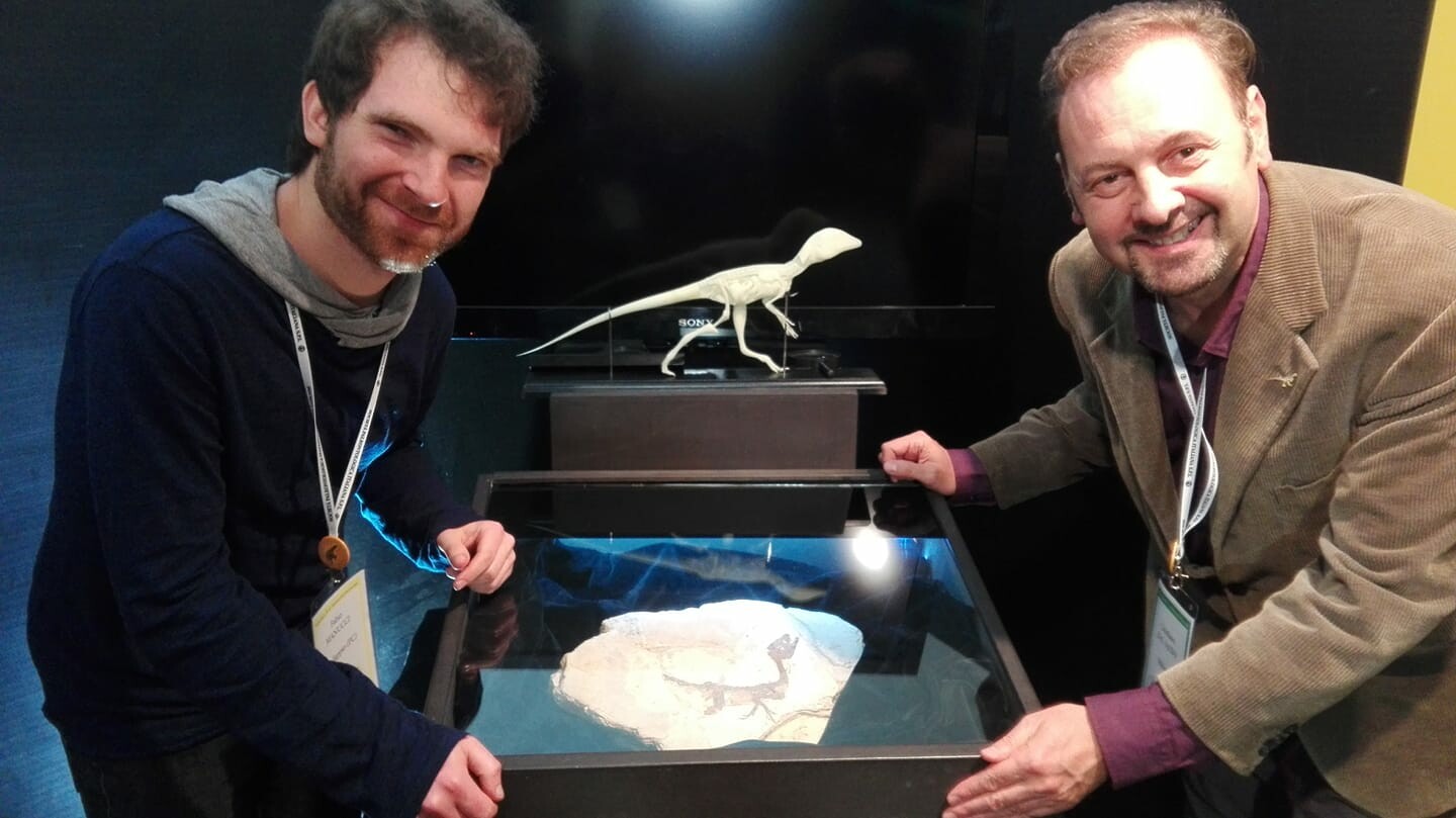 The original fossil and a 3d printed version of the model (made in collaboration with Tacheolab), displayed at the SPI 2019 paleo-congress, in Benevento. Here I was with Cristiano Dal Sasso, the first paleontologist to study this rare fossil. 