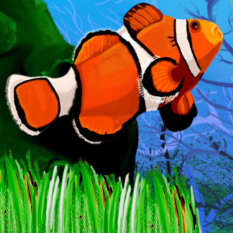 School of Fish