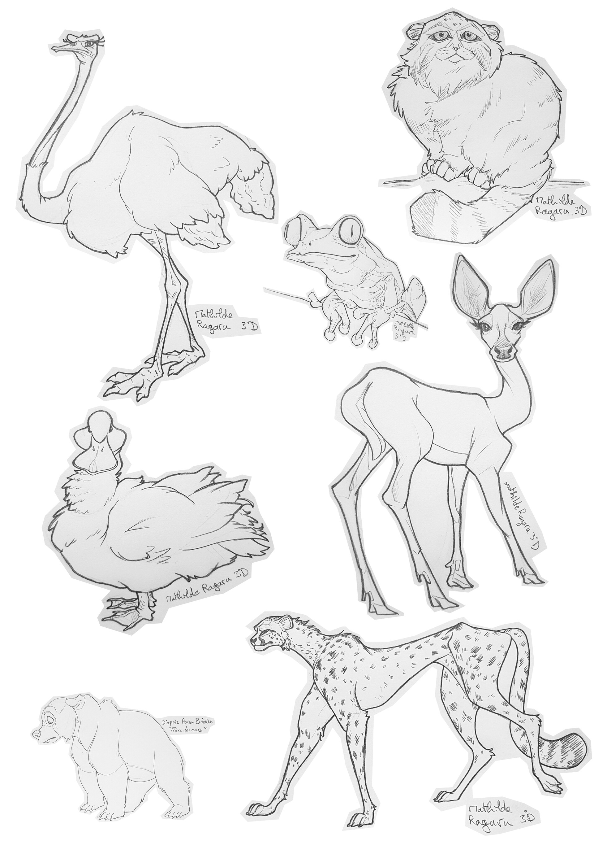 ArtStation - Caricature - Animals