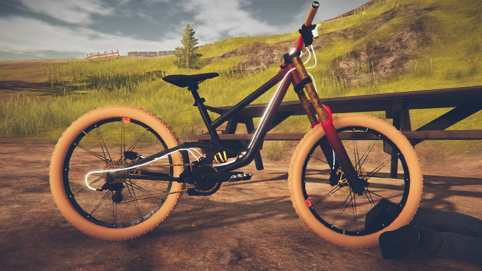 descenders custom bike