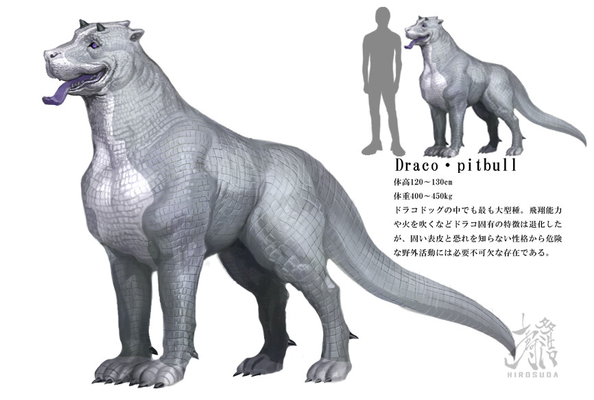 hiro suda draco pitbull
