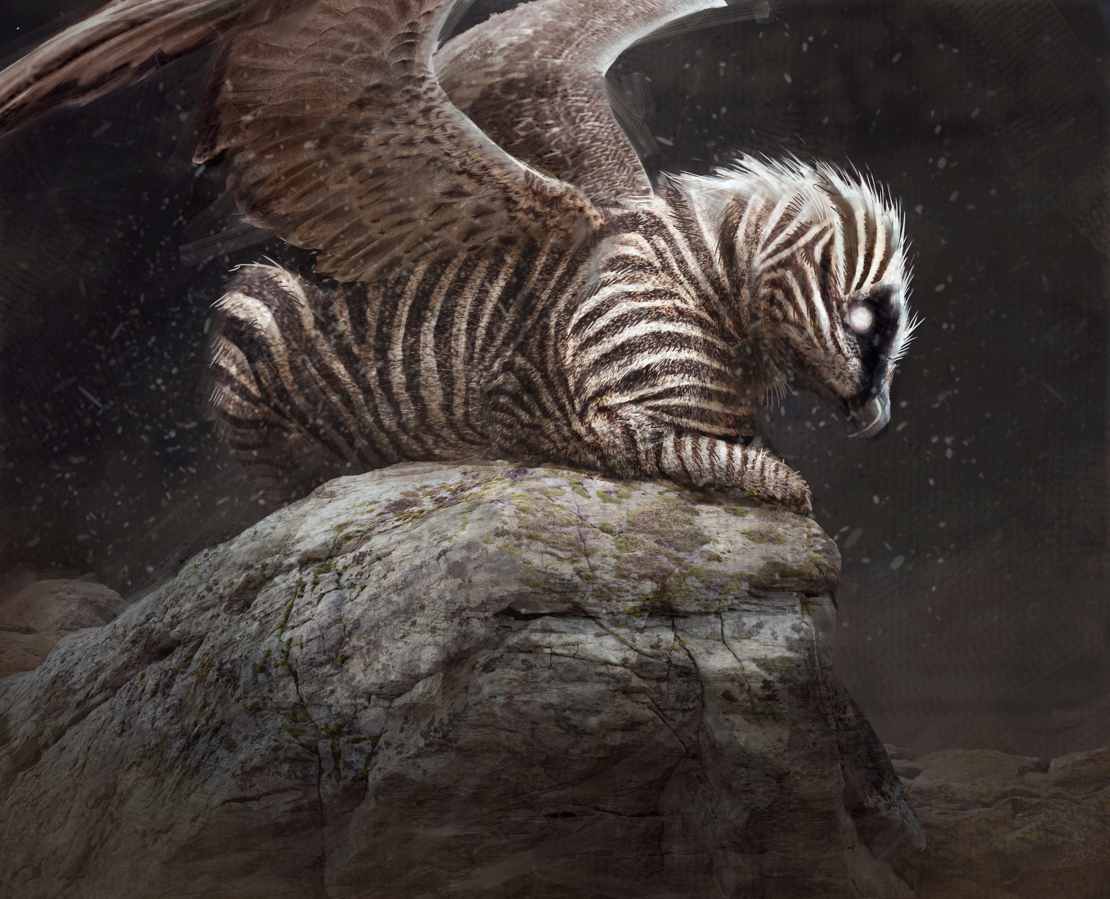 Zebra Griffin