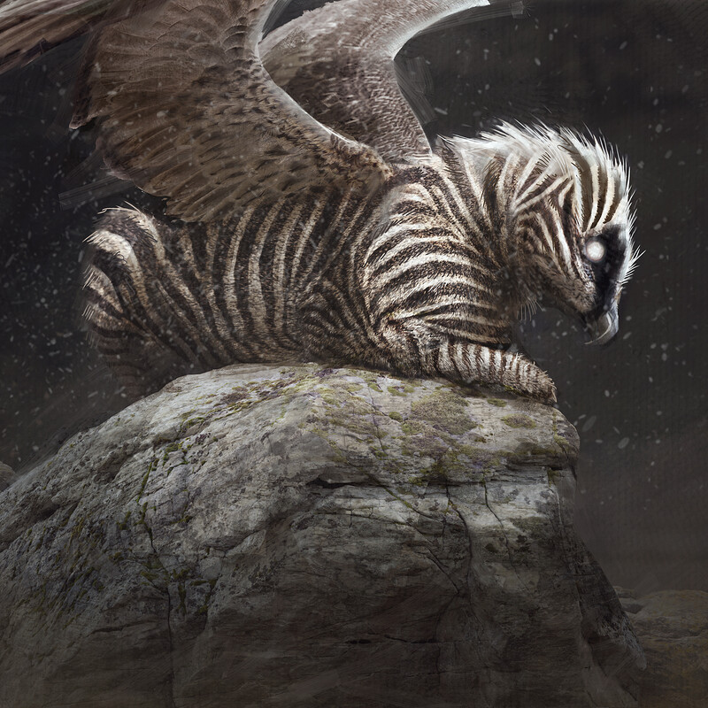 Zebra Griffin