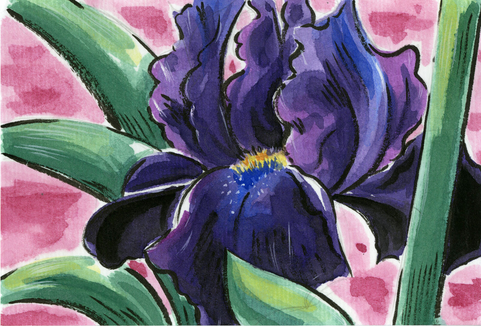 Etegami watercolor postcard of an iris  Original reference photo is mine.