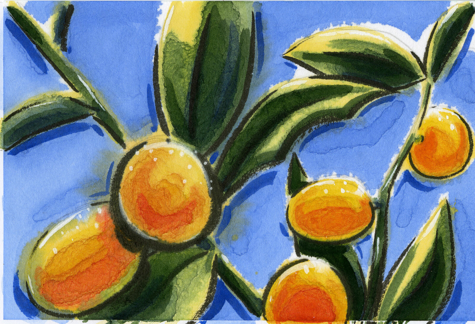Etegami watercolor postcard of kumquat fruits.  Original reference photo is mine.