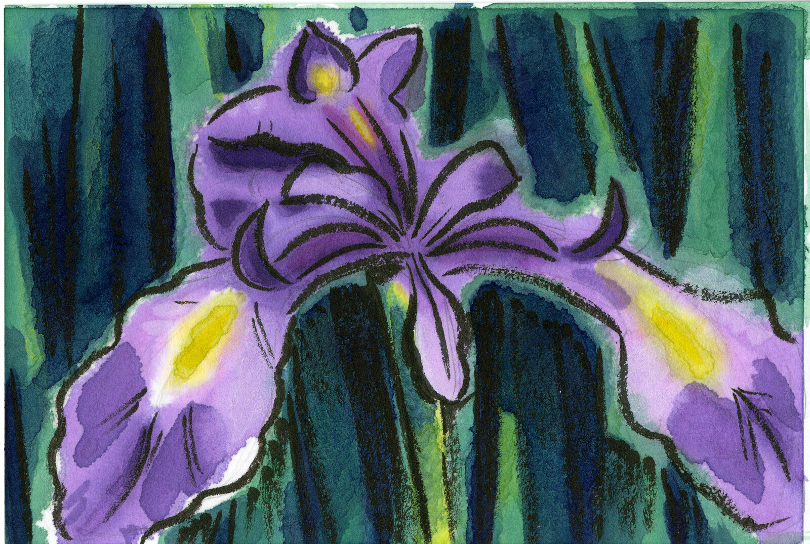Etegami watercolor postcard of a Louisiana iris.  Original reference photo is mine.