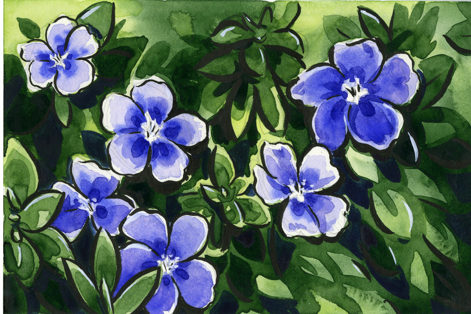Etegami watercolor postcard of small blue flowers.  Original reference photo is mine.