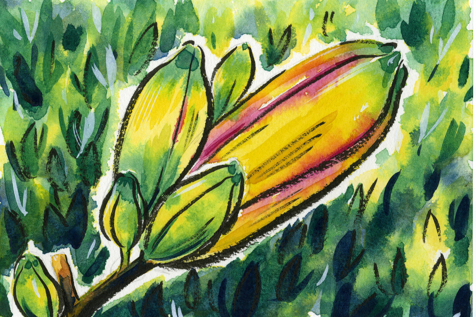 Etegami watercolor postcard of daylily bulbs.  Original reference photo is mine.