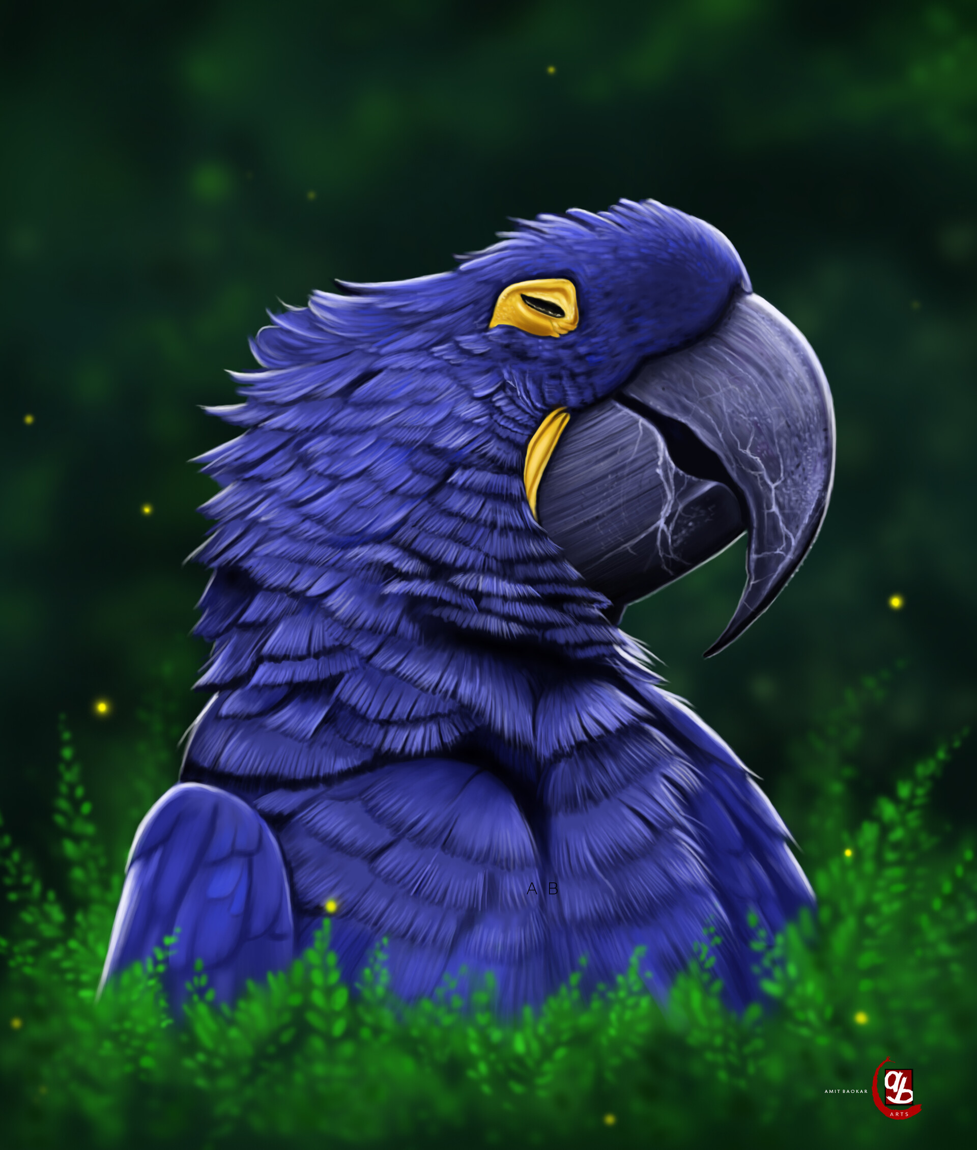 Amit Baokar - Hyacinth Macaw