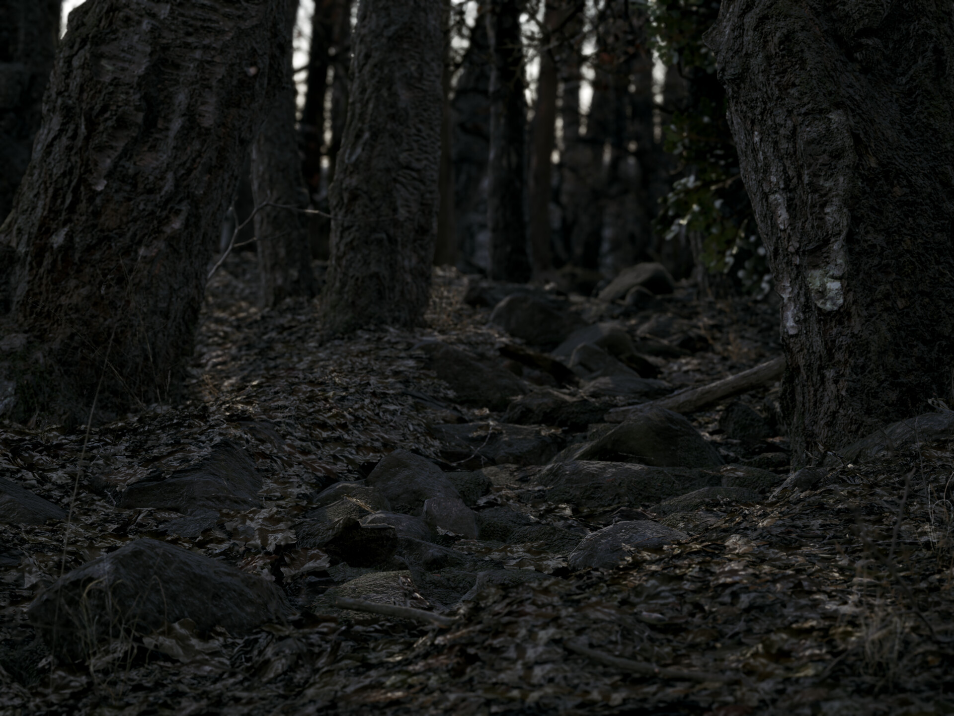 Sean Mitchell - UE4 Dark Forest Trail, image size:1920x1442