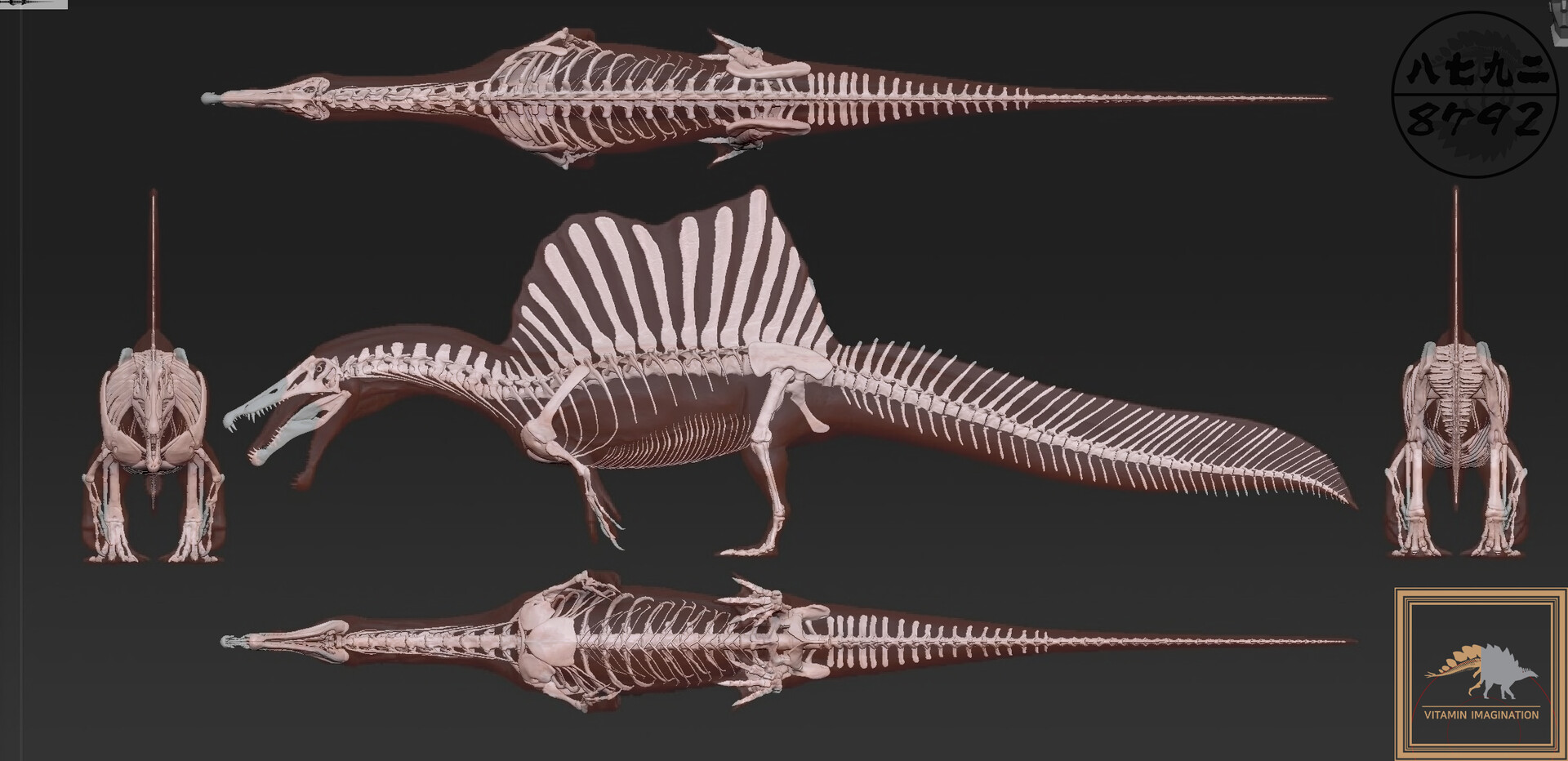 skeleton of a spinosaurus