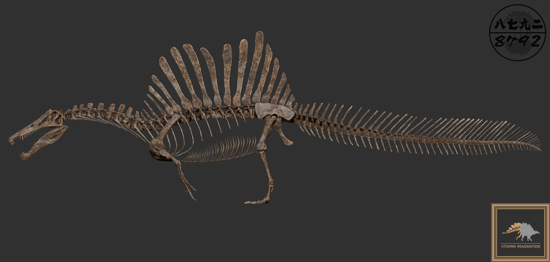 spinosaurus skeleton