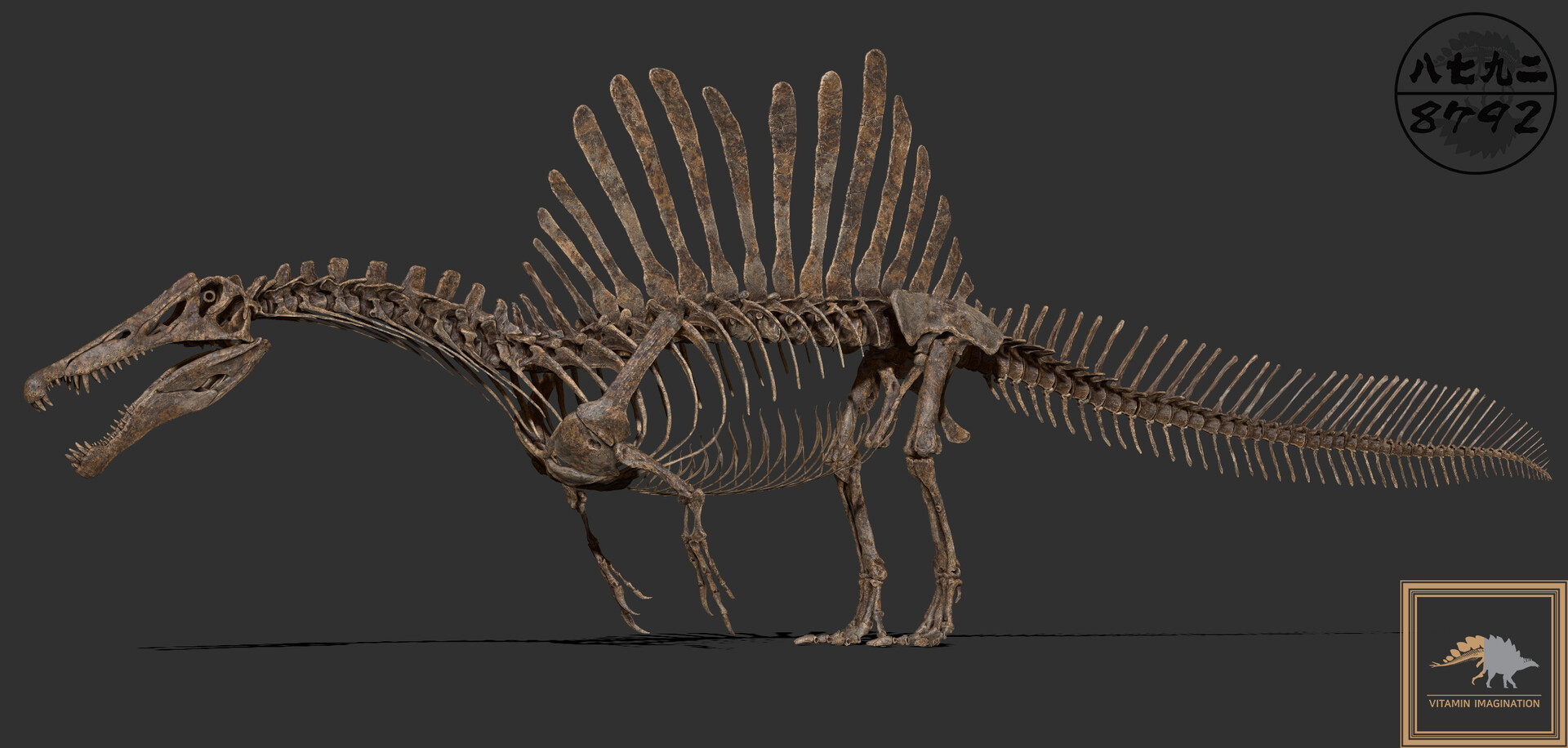 skeleton of a spinosaurus