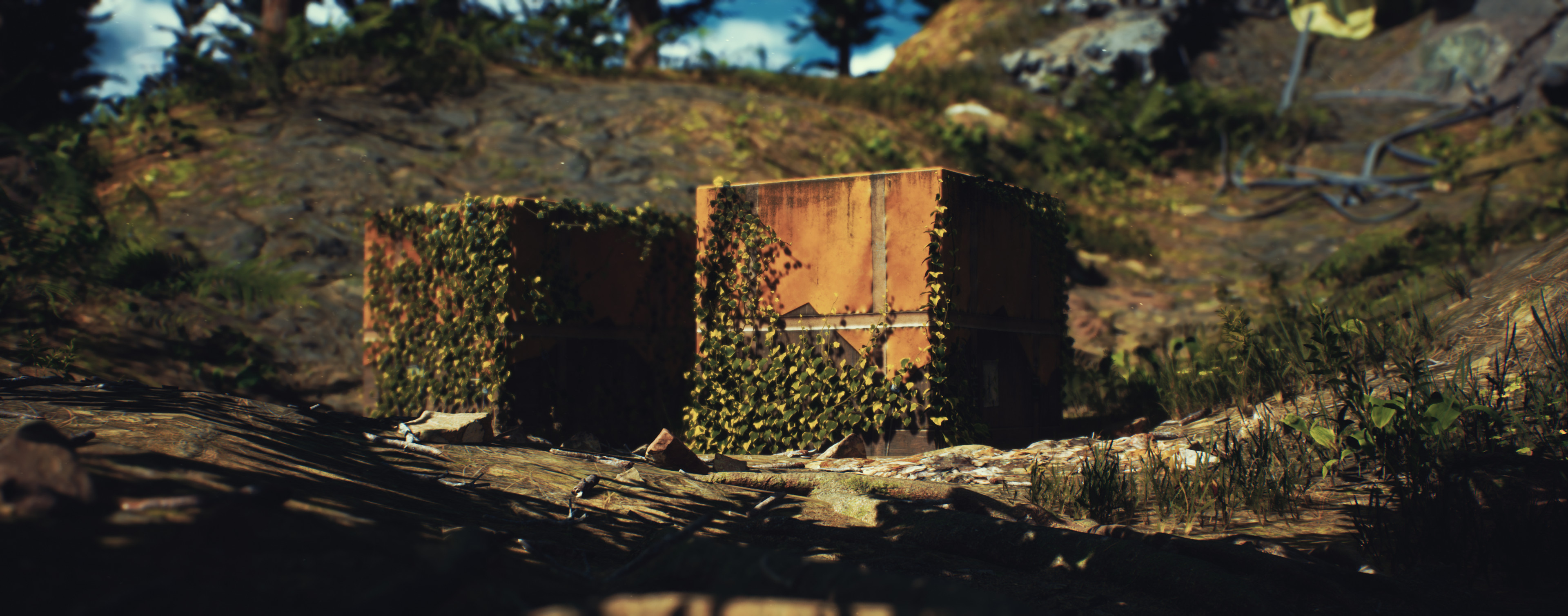 Custom Colour Grading 02