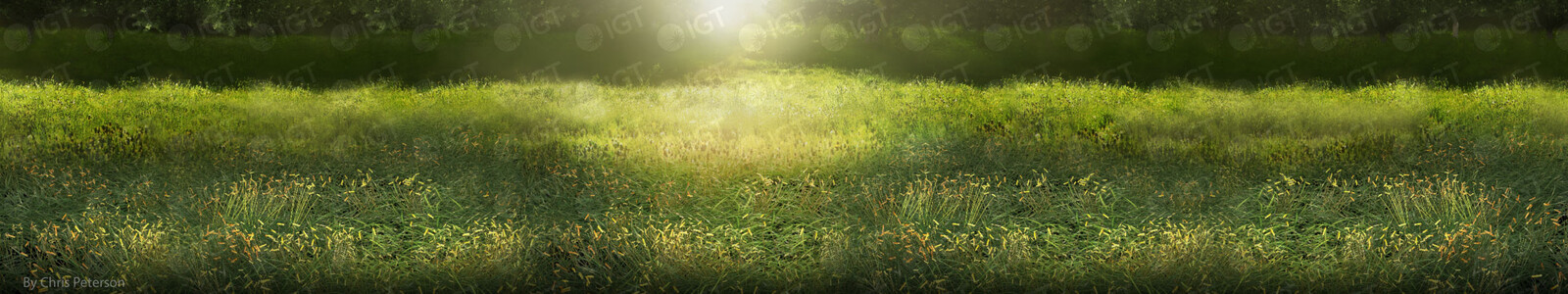 Matte painting of field (grass done in Maya using PaintFX)