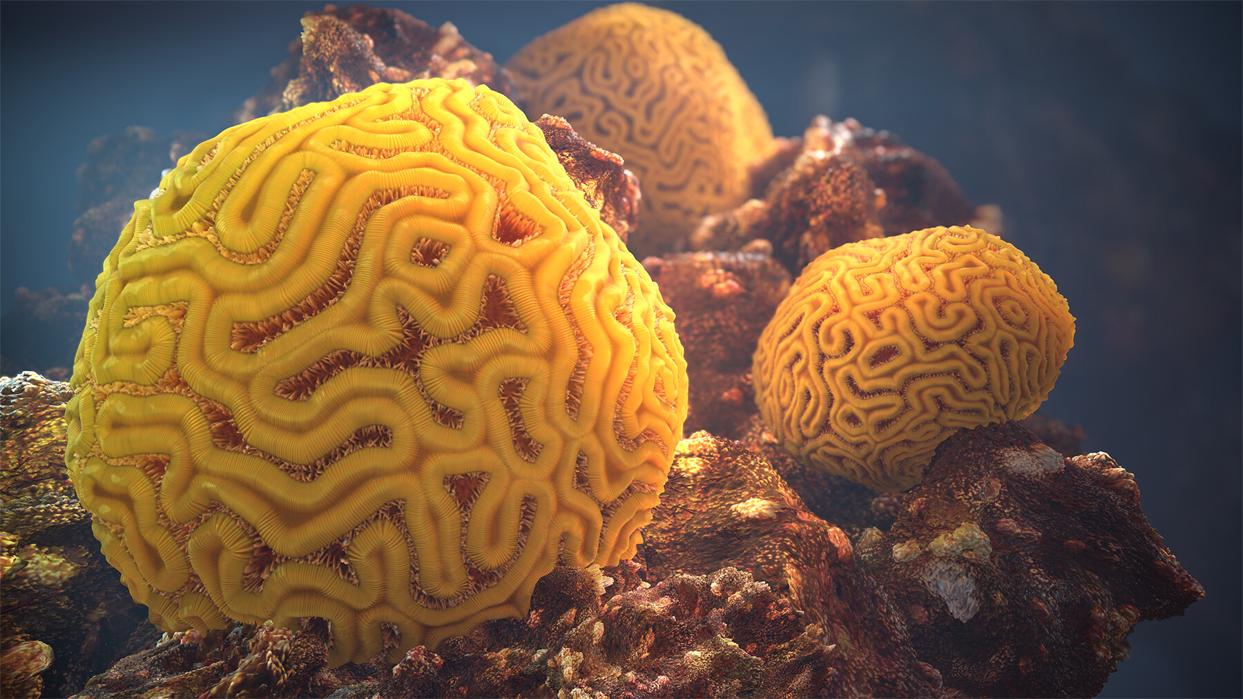 Artstation Brain Coral Substance Designer Gary Hansen Artstation Brain Coral Substance Designer Gary Hansen