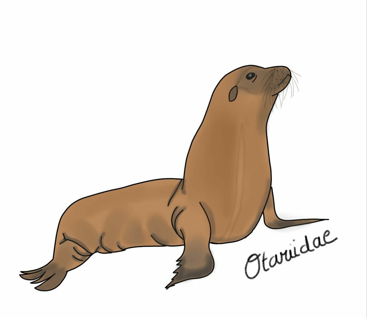 Epiphane Onille Otarie