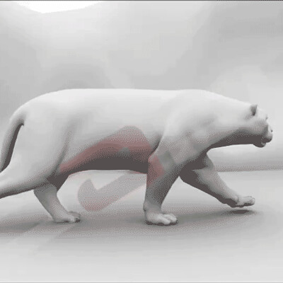 Rui Jiang Portfolio Rui Jiang Portfolio