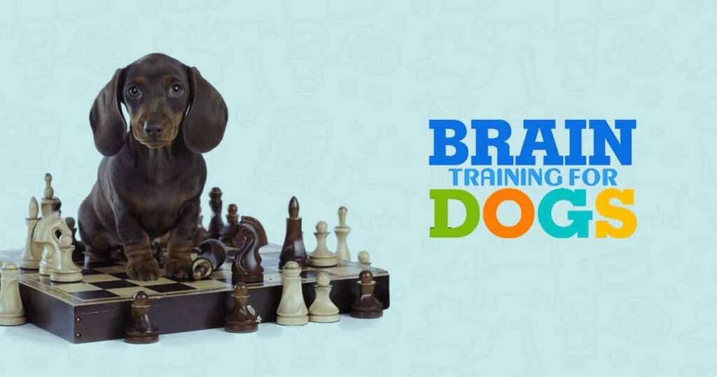 Brain Training for Dogs – TheBestPik
