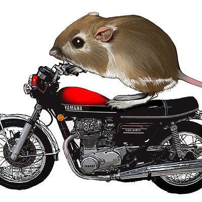 Mark baker mouseonamotocycle