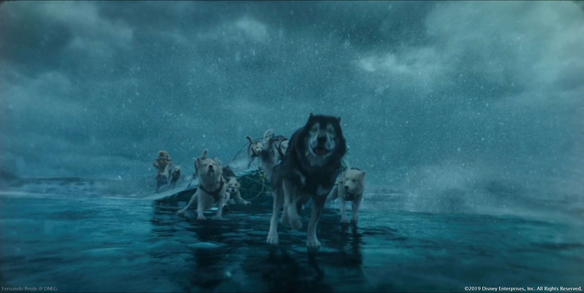 Togo Sled Dog Movie ArtStation TOGO The Untold True Story DNEG