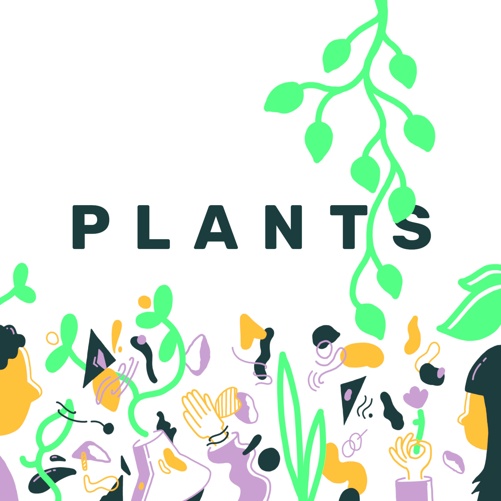 plants