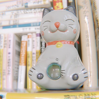 Tatsuki yamada cat 03