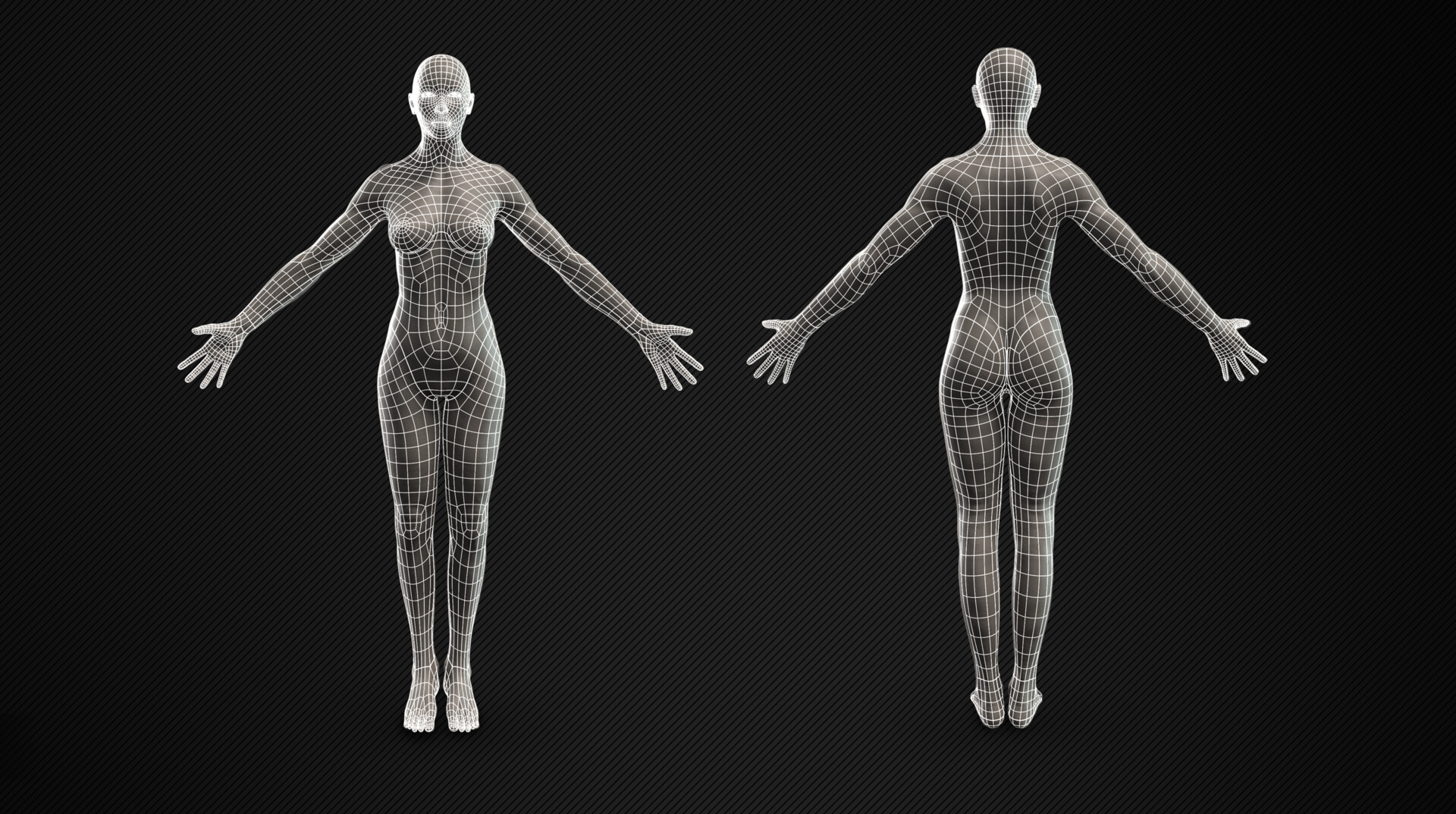 Сетчатое тело. Топология тела человека. Топология женского тела. Ретопология женского тела. Моделирование женского тела.