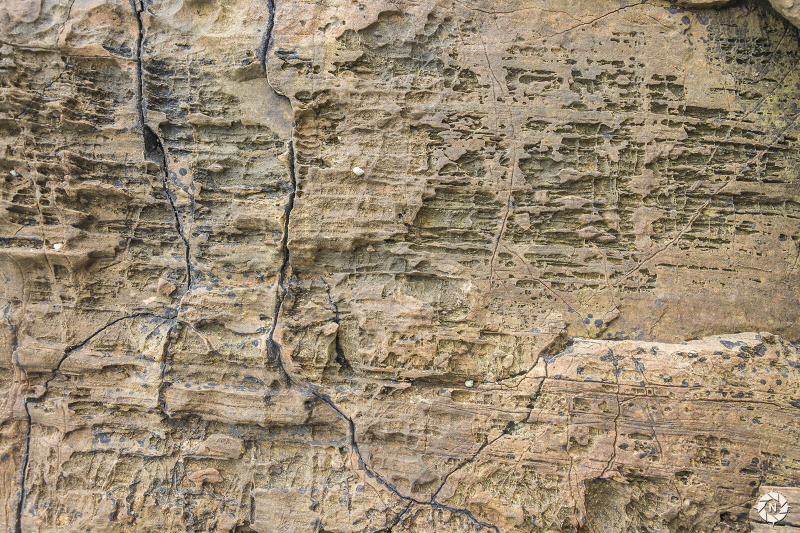 From the Texture Photo Pack: Rocks Cliffs

https://www.artstation.com/a/165916