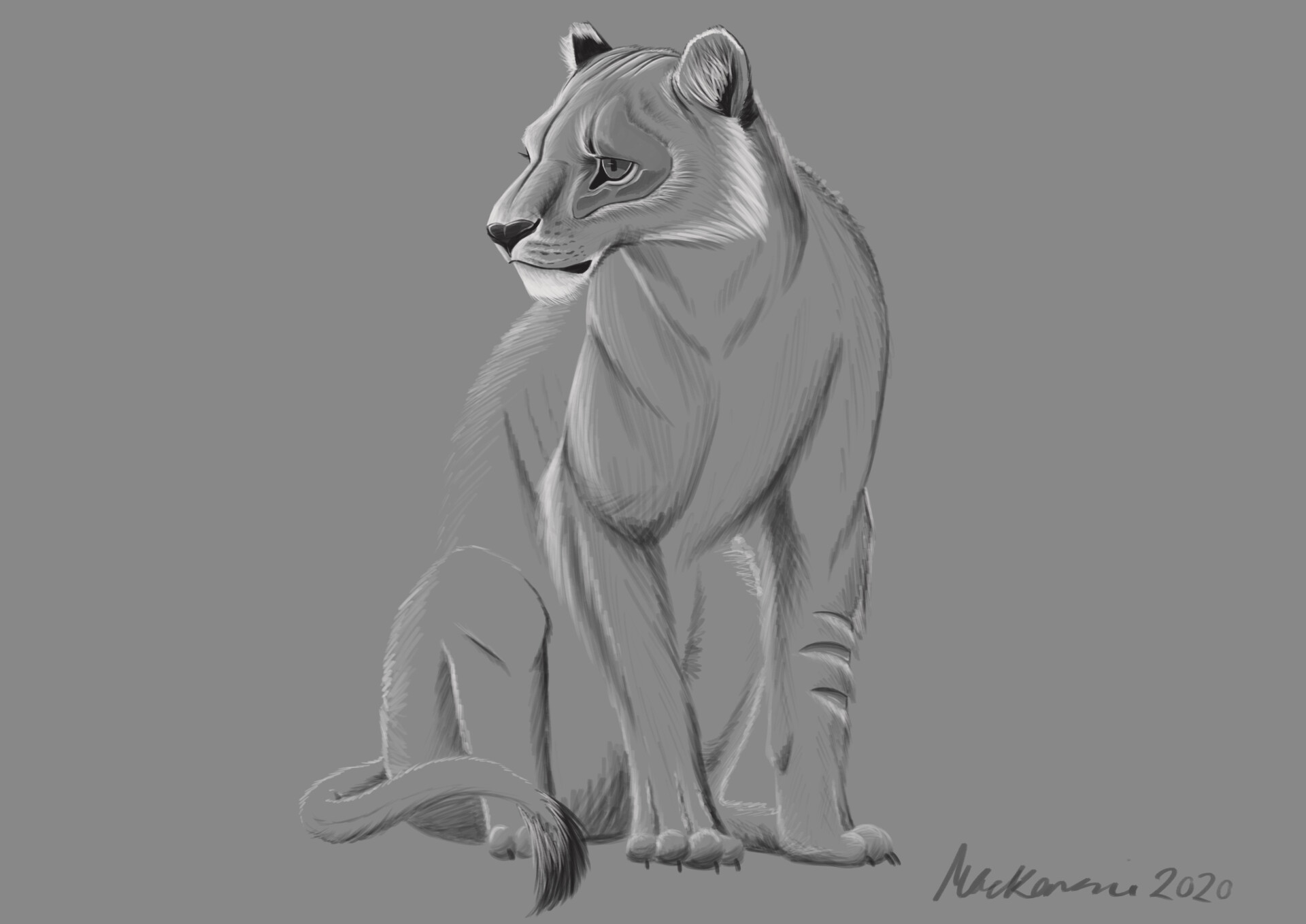 Artstation Nothing The Scarred Lioness Alex Mackenzie Nothing x hover laptop skin. nothing the scarred lioness alex mackenzie