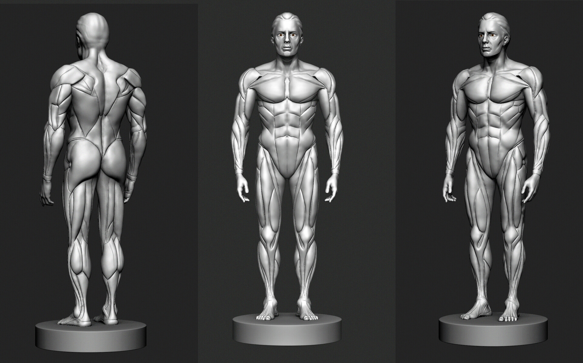 male body zbrush download
