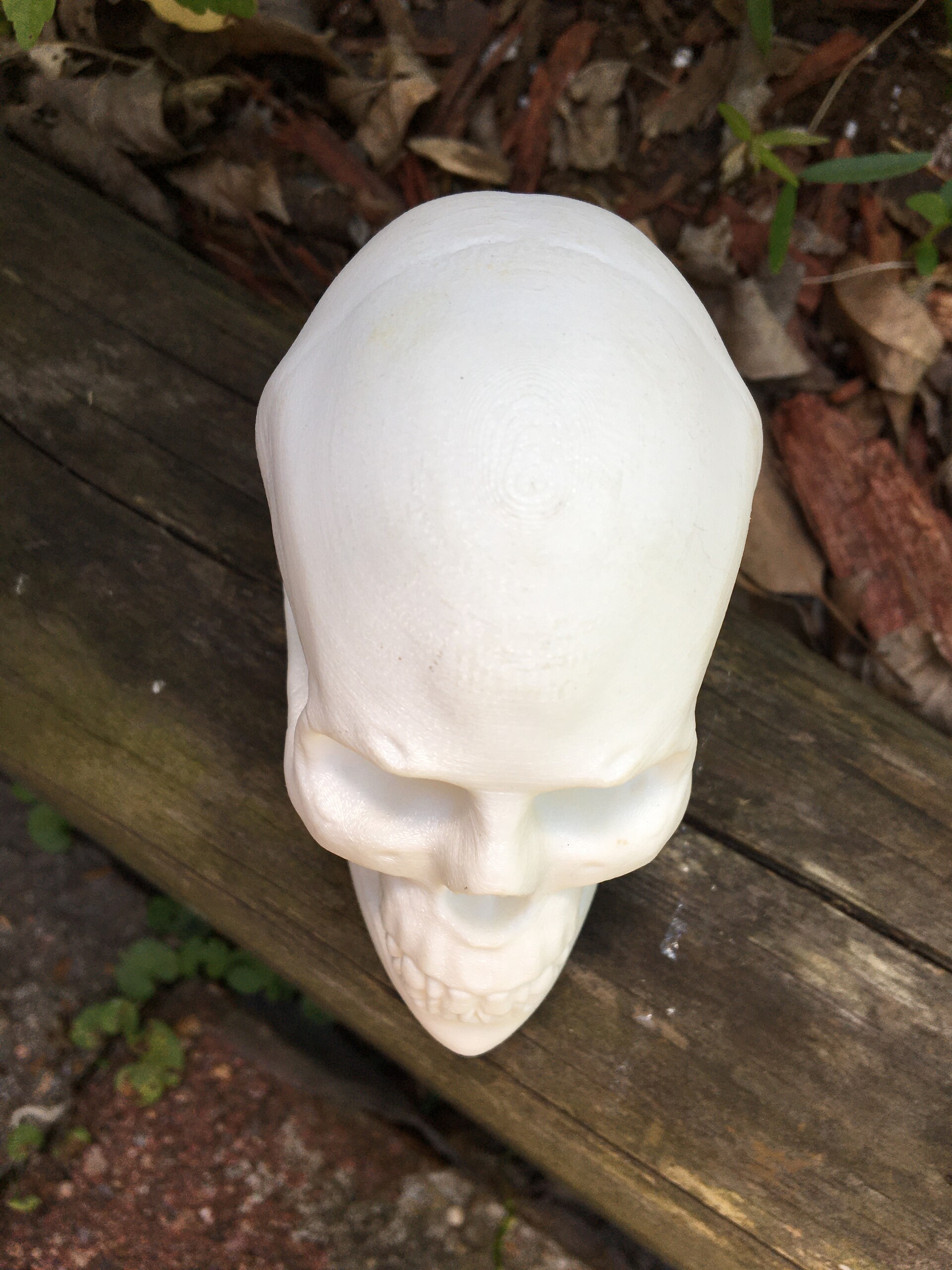 Human skull mold on illuminated studio background - SuperStock