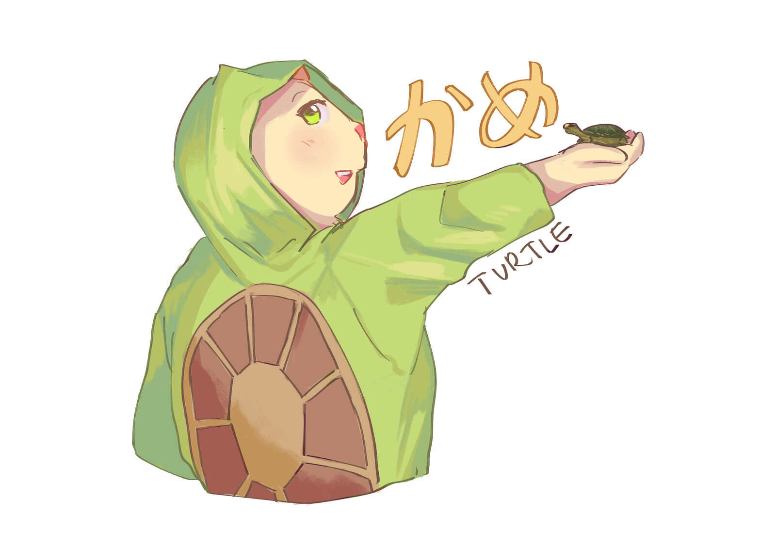 Buma likes turtle!